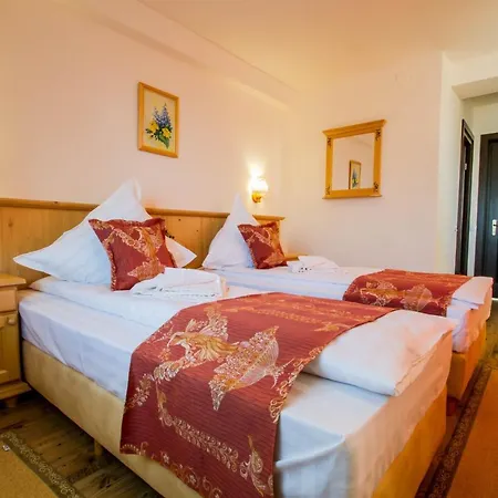 Guest house Siana Bran (Brasov)